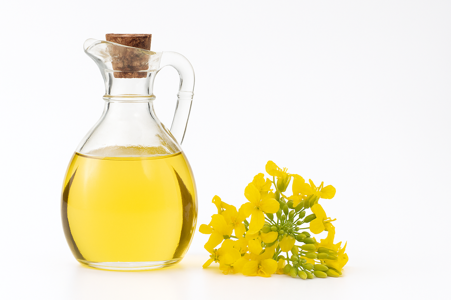 Canola Oil